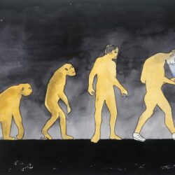 Evolution 